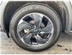 2025 Nissan Rogue  (Stk: 260302) in Ottawa - Image 14 of 14