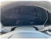 2024 Chevrolet TrailBlazer LT (Stk: 260350) in Ottawa - Image 13 of 21