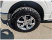 2022 Ford F-150  (Stk: F1440A) in Miramichi - Image 10 of 14