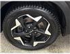 2024 Kia Seltos EX-Premium (Stk: 43827J) in Belleville - Image 28 of 33