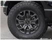 2026 Ford F-150 Tremor (Stk: TA-362) in Calgary - Image 8 of 25