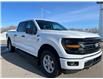 2026 Ford F-150 XLT (Stk: T44015) in Hague - Image 2 of 14
