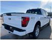 2026 Ford F-150 XLT (Stk: T44015) in Hague - Image 9 of 14