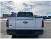 2026 Ford F-150 King Ranch (Stk: T45446) in Hague - Image 7 of 13
