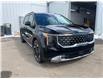 2026 Kia Carnival Hybrid EX (Stk: CR26011) in Cold Lake - Image 1 of 31