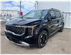 2026 Kia Carnival Hybrid EX (Stk: CR26011) in Cold Lake - Image 3 of 31