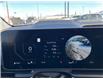 2026 Kia Carnival SX+ (Stk: CR26010) in Cold Lake - Image 13 of 31