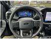 2026 Ford F-150 STX (Stk: 260256) in Hamilton - Image 11 of 19