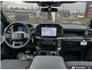 2026 Ford F-150 STX (Stk: 260256) in Hamilton - Image 18 of 19