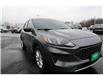 2022 Ford Escape SE (Stk: PR81922) in Windsor - Image 9 of 27