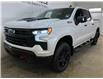 2023 Chevrolet Silverado 1500 LT Trail Boss (Stk: 43793J) in Belleville - Image 3 of 34