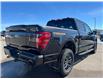 2026 Ford F-150 Tremor (Stk: T48509) in Hague - Image 8 of 13