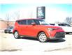 2023 Kia Soul  (Stk: DUR8290) in Ottawa - Image 1 of 16