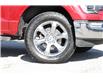 2022 Ford F-150  (Stk: DA293A) in Ottawa - Image 4 of 16