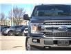 2019 Ford F-150  (Stk: DZ902A) in Ottawa - Image 3 of 12