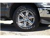 2019 Ford F-150  (Stk: DZ902A) in Ottawa - Image 4 of 12
