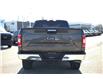 2019 Ford F-150  (Stk: DZ902A) in Ottawa - Image 5 of 12