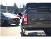 2019 Ford F-150  (Stk: DZ902A) in Ottawa - Image 6 of 12
