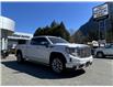 2022 GMC Sierra 1500 Denali (Stk: 6U001) in Hope - Image 7 of 14