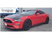 2021 Ford Mustang  (Stk: 69984A) in Sudbury - Image 1 of 18