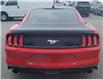 2021 Ford Mustang  (Stk: 69984A) in Sudbury - Image 6 of 18