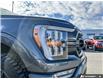 2023 Ford F-150 XLT (Stk: T-1516A) in Okotoks - Image 7 of 24