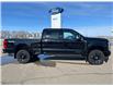 2026 Ford F-350 Platinum (Stk: T18100) in Hague - Image 1 of 14