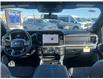 2026 Ford F-350 Platinum (Stk: T95633) in Hague - Image 14 of 14
