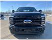 2026 Ford F-350 Platinum (Stk: T95633) in Hague - Image 3 of 14