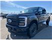 2026 Ford F-350 Platinum (Stk: T95633) in Hague - Image 4 of 14
