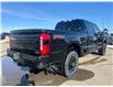2026 Ford F-350 Platinum (Stk: T95633) in Hague - Image 9 of 14