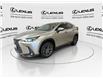2024 Lexus NX 250  (Stk: 14U7430) in Markham - Image 5 of 25