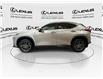 2024 Lexus NX 250  (Stk: 14U7430) in Markham - Image 6 of 25