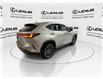 2024 Lexus NX 250  (Stk: 14U7430) in Markham - Image 9 of 25