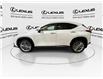 2024 Lexus NX 350  (Stk: 14112373A) in Markham - Image 6 of 29