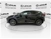 2024 Lexus NX 350  (Stk: 14U7405) in Markham - Image 6 of 28
