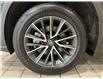 2024 Lexus NX 350  (Stk: 14U7405) in Markham - Image 11 of 28