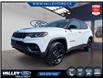 2023 Jeep Compass Trailhawk (Stk: 25P100) in Kentville - Image 1 of 19