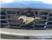 2026 Ford Mustang Dark Horse (Stk: 0M6186) in Kamloops - Image 9 of 25