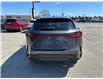 2024 Lexus NX 350 Base (Stk: NR17270) in Newmarket - Image 3 of 7