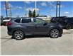2019 Honda CR-V EX (Stk: Z305984A) in Newmarket - Image 2 of 7