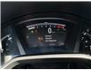 2019 Honda CR-V EX (Stk: Z305984A) in Newmarket - Image 7 of 7