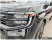 2025 Ford Expedition Max Platinum (Stk: RJ0H2768) in Hamilton - Image 7 of 19