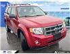 2011 Ford Escape XLT Automatic (Stk: 6072A) in Tecumseh - Image 4 of 23 2011 Ford Escape XLT Automatic (Stk: 6072A) in Tecumseh - Image 4 of 23