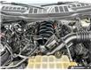 2021 Ford F-150 XLT (Stk: T500AX) in Grimsby - Image 11 of 26