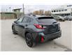 2026 Subaru Crosstrek Convenience (Stk: 239940) in Cranbrook - Image 6 of 22