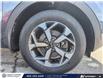 2020 Kia Sportage  (Stk: SU7747A) in Calgary - Image 6 of 25