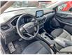 2025 Ford Escape Active (Stk: KU0499) in Okotoks - Image 7 of 18