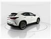 2026 Lexus NX 350  (Stk: 15105752) in Richmond Hill - Image 7 of 19