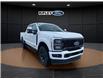 2023 Ford F-250 Lariat (Stk: 25258A) in Melfort - Image 5 of 22